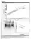 Fig. 76 - METHODS TO ACCELERATE THE ISOLATION OF NOVEL CELL STRAINS FROM PLURIPOTENT STEM CELLS AND CELLS OBTAINED THEREBY