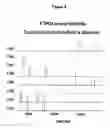 Fig. 06 - Methods for rapid forensic DNA analysis
