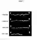 Fig. 09 - Methods for rapid forensic DNA analysis
