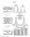 Fig. 22 - Methods for rapid forensic DNA analysis