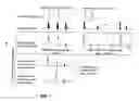 Fig. 02 - Detecting Genetic Abnormalities