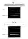 Fig. 02 - METHOD FOR THE IDENTIFICATION OF PROPANE-OXIDIZING BACTERIA