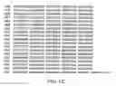 Fig. 04 - Ligand gated ion channels from 