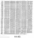 Fig. 14 - Ligand gated ion channels from 
