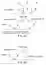 Fig. 08 - Compartmentalized self tagging