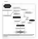 Fig. 07 - METHOD OF DETECTION OF PREDISPOSITION TO EMPHYSEMA IN CHRONIC OBSTRUCTIVE PULMONARY DISEASE