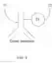 Fig. 04 - Haptens, hapten conjugates, compositions thereof and method for their preparation and use