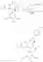 Fig. 243 - Haptens, hapten conjugates, compositions thereof and method for their preparation and use