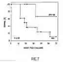 Fig. 08 - Method for determining MIF content