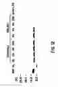 Fig. 13 - Method for determining MIF content