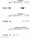 Fig. 17 - Method for determining MIF content