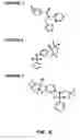 Fig. 06 - Screening methods using sitosterolemia susceptibility gene (SSG) polypeptides