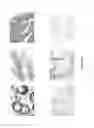 Fig. 08 - Reagents And Methods For Cancer Prognosis And Pathological Staging