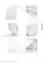 Fig. 09 - Reagents And Methods For Cancer Prognosis And Pathological Staging