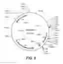 Fig. 06 - Bacteria with increased levels of protein secretion, nucleotide sequences coding for a SecA protein with increased levels of protein secretion, and method for producing proteins