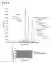 Fig. 08 - Method for producing alkaloids