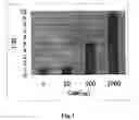 Fig. 02 - Substrate for biochip and biochip