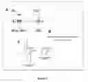 Fig. 02 - Composition and methods for the inhibition of membrane fusion by paramyxoviruses