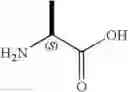 Fig. 02 - β-arrestin effectors and compositions and methods of use thereof