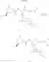 Fig. 07 - Lincosamide derivatives and antimicrobial agents comprising the same as active ingredient