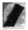 Fig. 03 - Co-crystals of pyrimethanil and dithianon