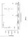Fig. 02 - Treatment of dyskinesia