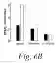 Fig. 09 - Methods and compositions for enhancing the efficacy and specificity of RNA silencing