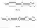 Fig. 02 - Compositions and methods for the diagnosis and therapy of BCL2-associated cancers