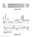 Fig. 02 - Compositions and methods for retinal transduction and photoreceptor specific transgene expression