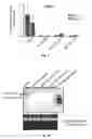 Fig. 07 - PRIMARY MICRO RNA EXPRESSION CASSETTE