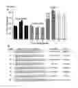 Fig. 03 - EXTENDED DICER SUBSTRATE AGENTS AND METHODS FOR THE SPECIFIC INHIBITION OF GENE EXPRESSION
