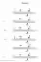 Fig. 43 - EXTENDED DICER SUBSTRATE AGENTS AND METHODS FOR THE SPECIFIC INHIBITION OF GENE EXPRESSION