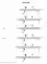 Fig. 46 - EXTENDED DICER SUBSTRATE AGENTS AND METHODS FOR THE SPECIFIC INHIBITION OF GENE EXPRESSION