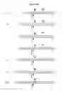 Fig. 47 - EXTENDED DICER SUBSTRATE AGENTS AND METHODS FOR THE SPECIFIC INHIBITION OF GENE EXPRESSION