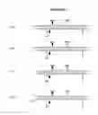 Fig. 48 - EXTENDED DICER SUBSTRATE AGENTS AND METHODS FOR THE SPECIFIC INHIBITION OF GENE EXPRESSION
