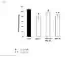 Fig. 07 - Carboxylic acid and antidepressant composition containing the same as active ingredient