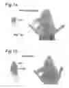 Fig. 02 - Molecules for targeting compounds to various selected organs, tissues or tumor cells