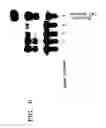 Fig. 08 - Stable lipid-comprising drug delivery complexes and methods for their production