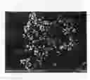 Fig. 04 - Metal nanoparticles, an electrode using them and a process of preparing metal nanoparticles