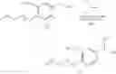 Fig. 43 - De Novo Synthesis of Conjugates