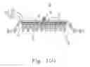 Fig. 02 - Dry electrode