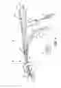 Fig. 05 - NAVIGATION ENABLED LEAD DELIVERY CATHETER