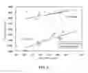 Fig. 06 - Bone strength diagnosing device and bone strength diagnosing method
