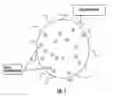 Fig. 02 - Small-scale pressure sensors