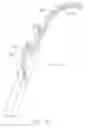 Fig. 07 - Surgical clamp