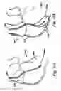 Fig. 41 - SYSTEMS AND METHODS FOR CLOSING AN APERTURE IN A BODILY TISSUE