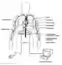 Fig. 01 - Rotary blood pump and control system therefor