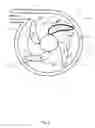 Fig. 03 - Rotary blood pump and control system therefor