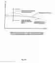 Fig. 35 - Rotary blood pump and control system therefor