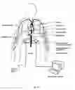 Fig. 37 - Rotary blood pump and control system therefor